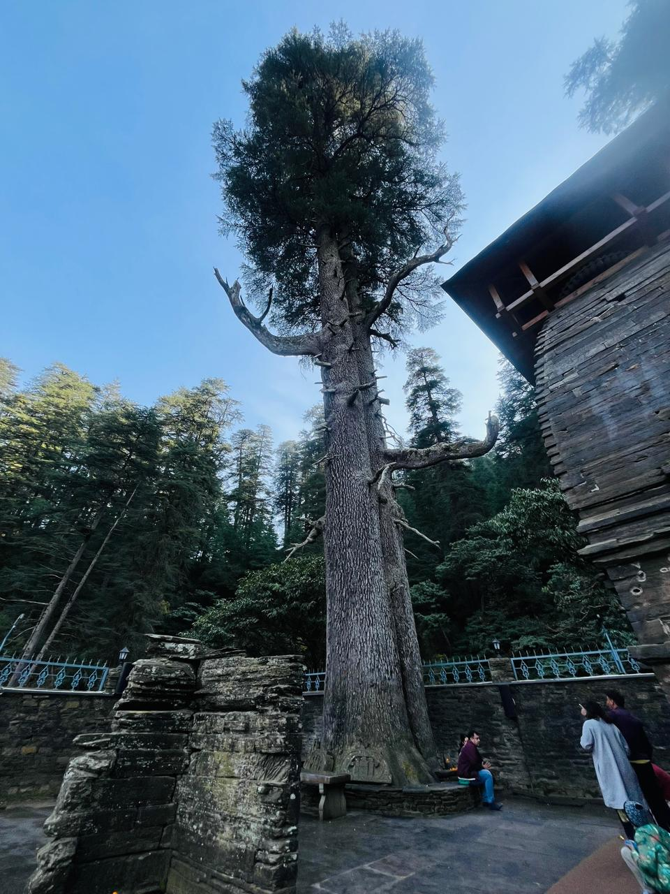 Jageshwar Dham Temple Tour